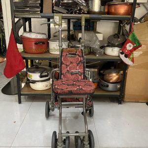 Xe đẩy tay cho người lớn tuổi